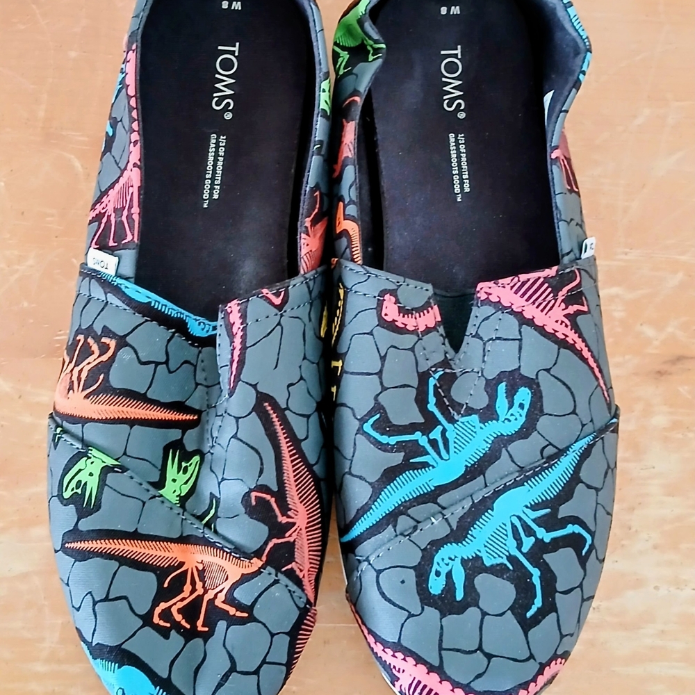 TOMS Black Canvas Slip-Ons with Multicolor Dinosaur Print